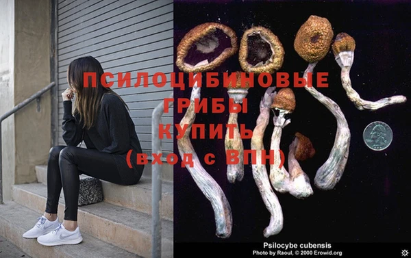 spice Балахна