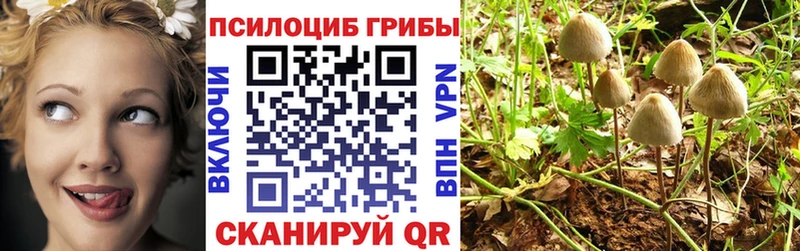 Галлюциногенные грибы Magic Shrooms  Купить закладки  Новоалтайск 